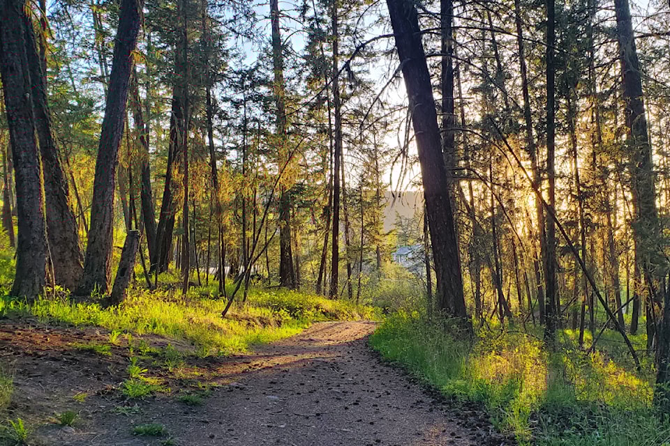 mlywoods