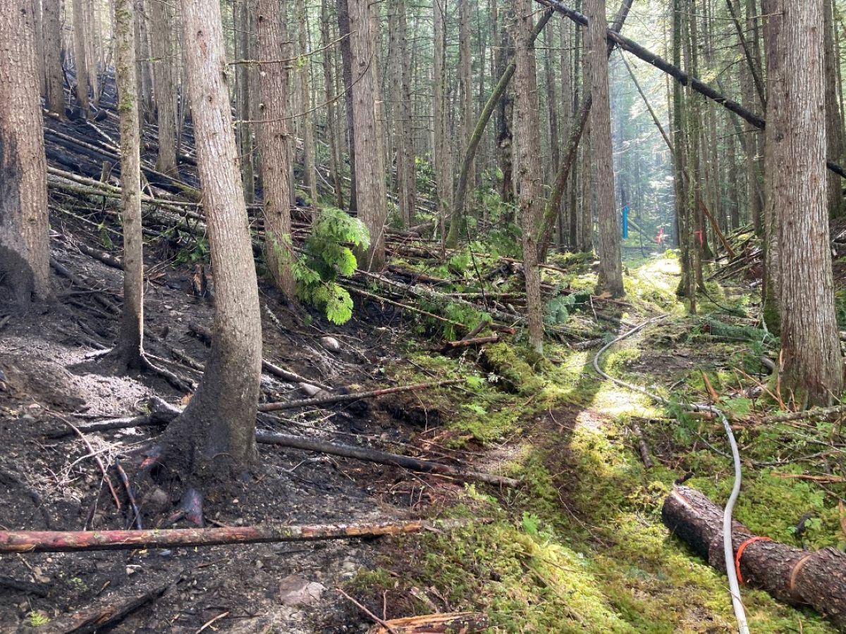 Evacuation alert lifted for B.C. Cariboo area, wildfire still out of control