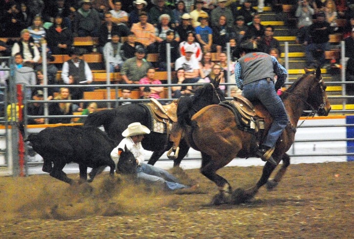 11511tribuneA13FILEpicIndoorrodeo915