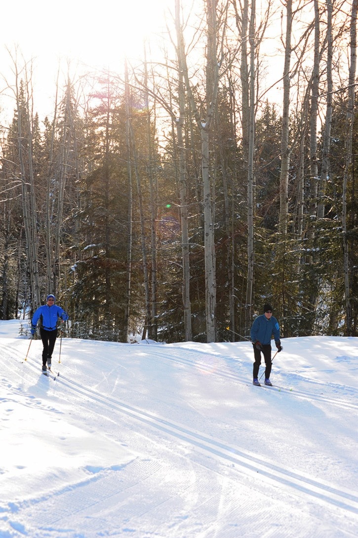 11894tribunecross-country-ski