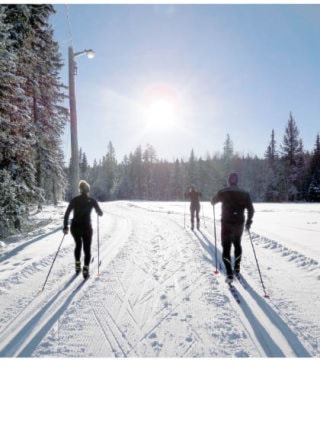 17339NewS.37.20110110203755.SUBBullMtnSkiers_20110111