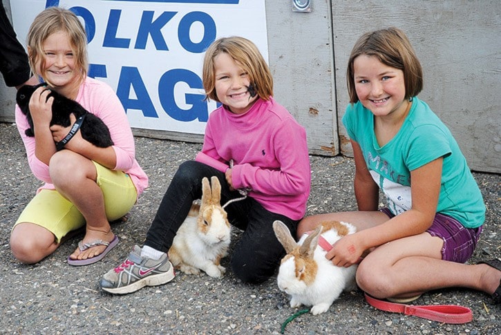 17821tribuneDSC_2199rabbitsSmallanimalpetparadewinnersareMollyNovakowski-left-secondwithStrawberry-EvaJalbertthirdwithLicorice-andGabrielleJalbertfirstwithSkeeter