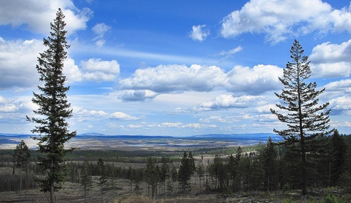 Chilcotin spring vista