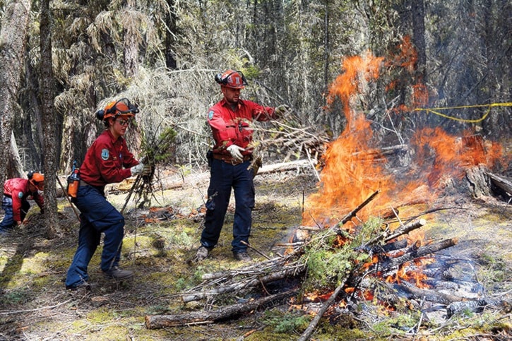 mly Cariboo Fire Centre Wildfire Management Crew at work