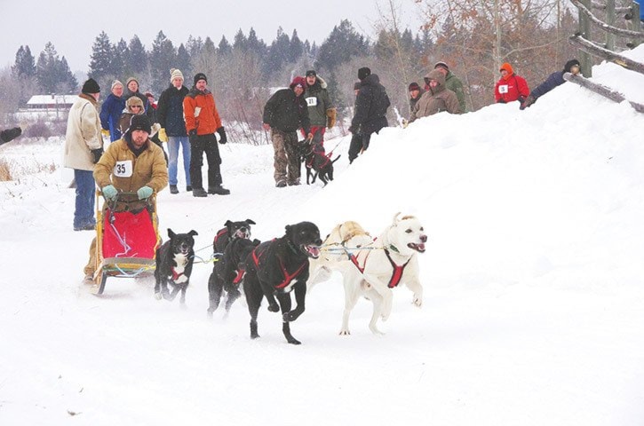 2096tribuneSUB-Sled-Dog-Races13_443