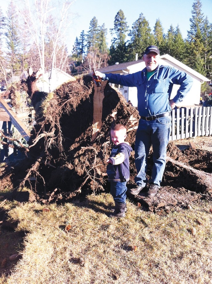 mly downed spruce tree with Ernie and Colton