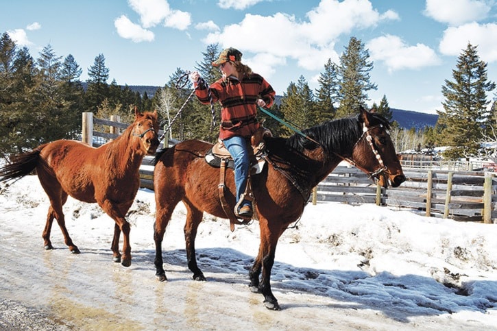 mly springing forward cariboo style