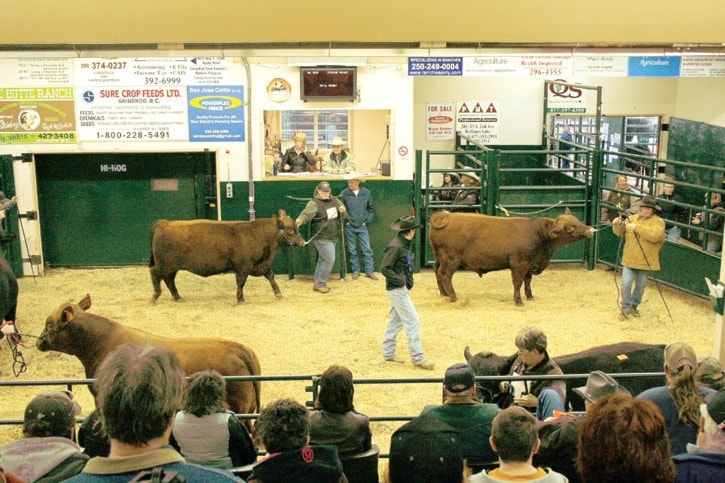 28464tribuneA17FilePicShowandSale026