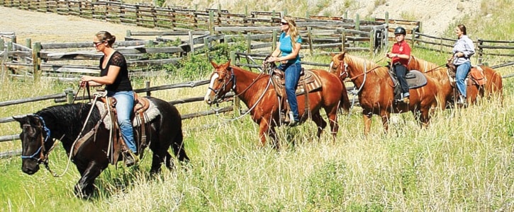 28789tribuneA2subdanhickshorses120721.1Horsewomen-AlexisCreek.DH