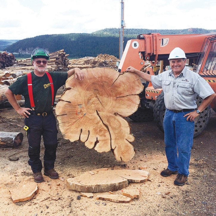 Pioneer log home with log for log car