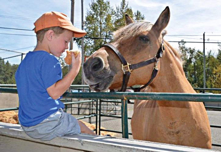 Julian Pearson, 3, visits with his horse George.