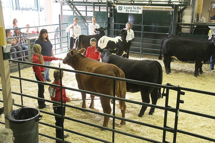 Photo is Anna Best, Lexi Augustine and Joey Augustine at the 2016