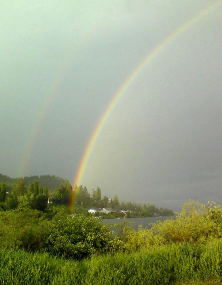 44167tribunea22-rainbow