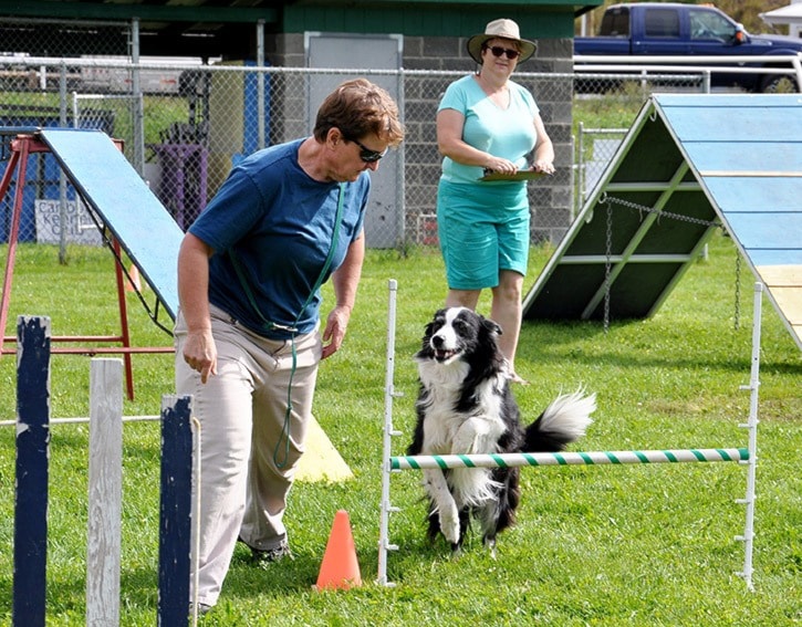 47949tribuneDogAgility3