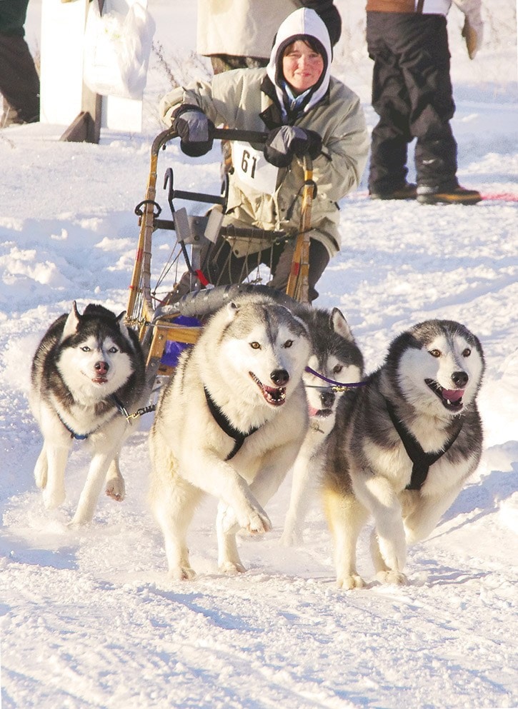 5751tribuneA01-Sled-Dog-Races13_652