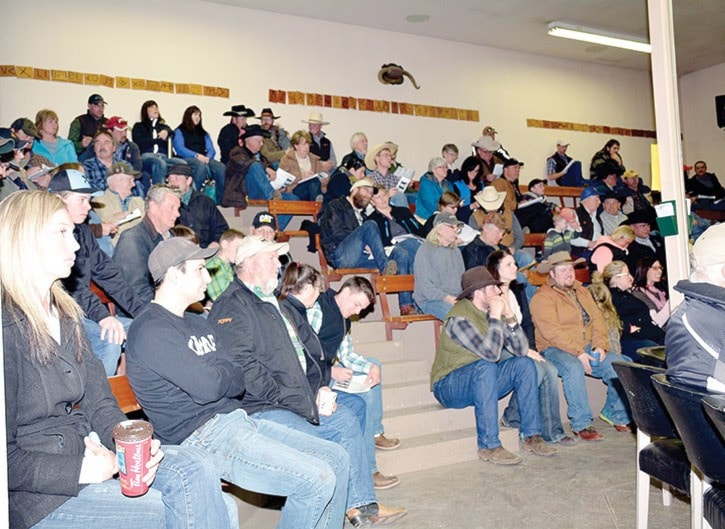 62315tribuneTrib_DSC1088-crowd-at-Prime-Time-Cutting-Edge-Bull-sale-march-2015by-Liz-Twan