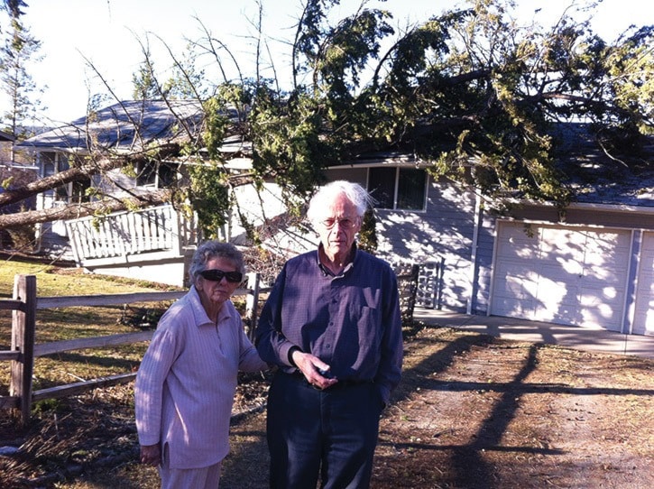 mly Alan and Joan McLeod tree on home