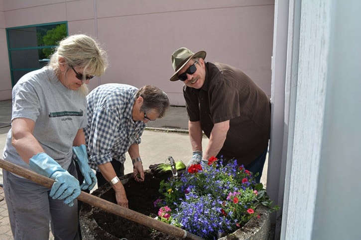 mly planting at the hospital