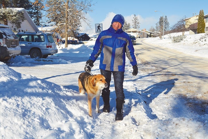 mly Jim Robertson walks his dog along Midnight Drive