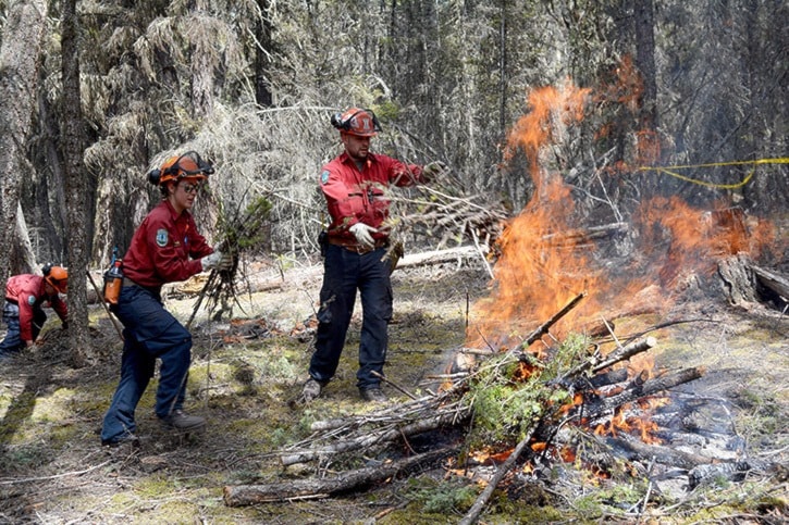 9085tribunemly-prescribed-burns-DSC_2607