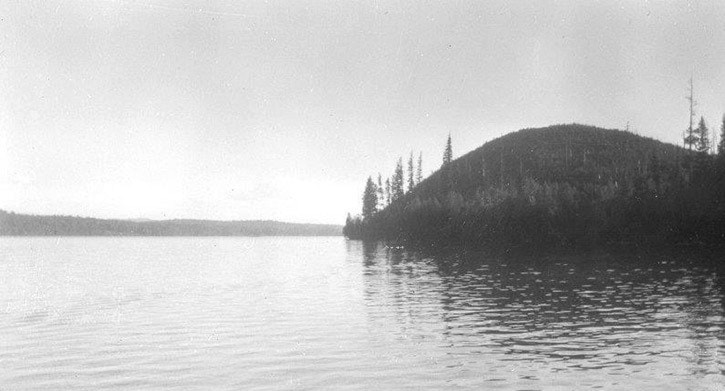 Dillabough Bluff in 1951 near Horsefly was plentiful with moose.