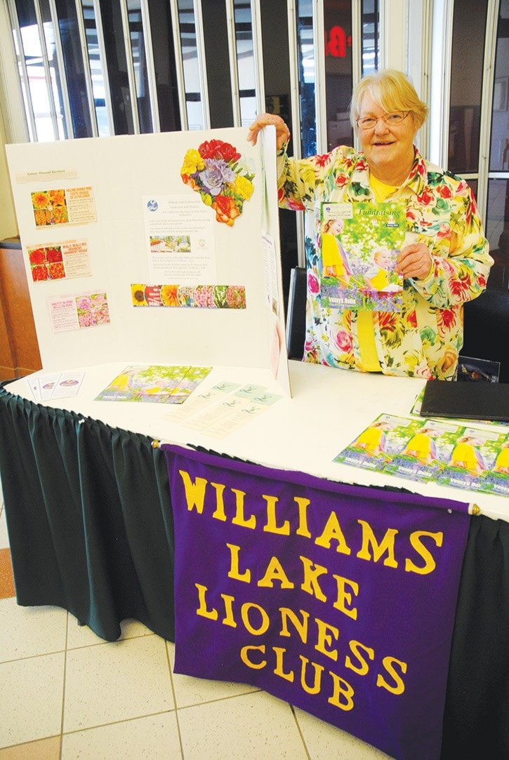 96710tribunegf-lioness-volunteer-at-work-DSC_1396