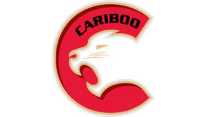 web1_Cougars-Logo-copy