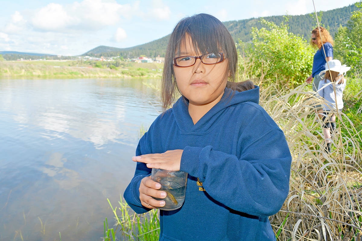 Feds nix Stream to Sea program