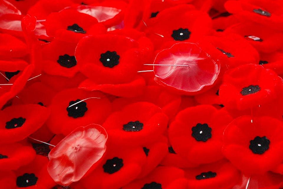 7764667_web1_170718-LAT-poppies-wikipedia