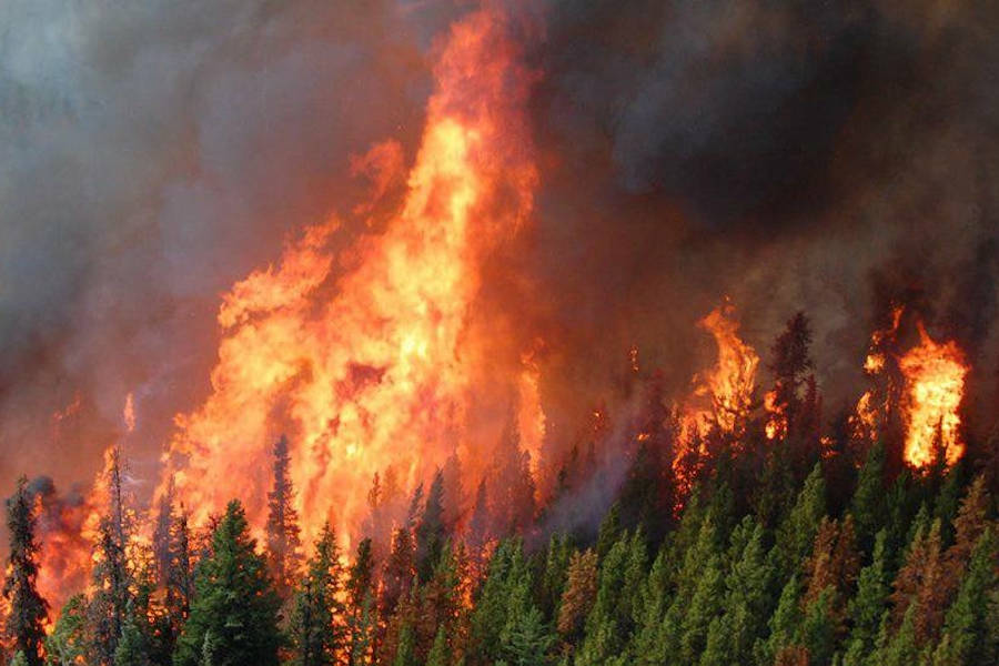 Firefighters battle the biggest blaze in B.C. history
