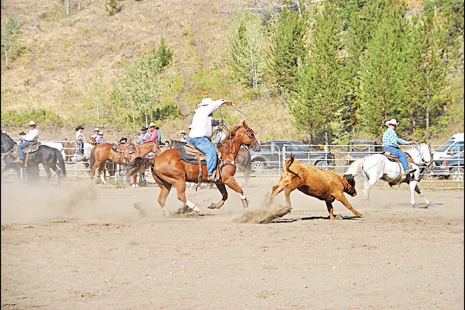 Header Steve Lloyd and Kyle MacNaughton both of Quesnel compete in the team roping event at the Esk’et Rodeo at Alkali Lake Sunday, Aug. 27. Gaeil Farrar photo