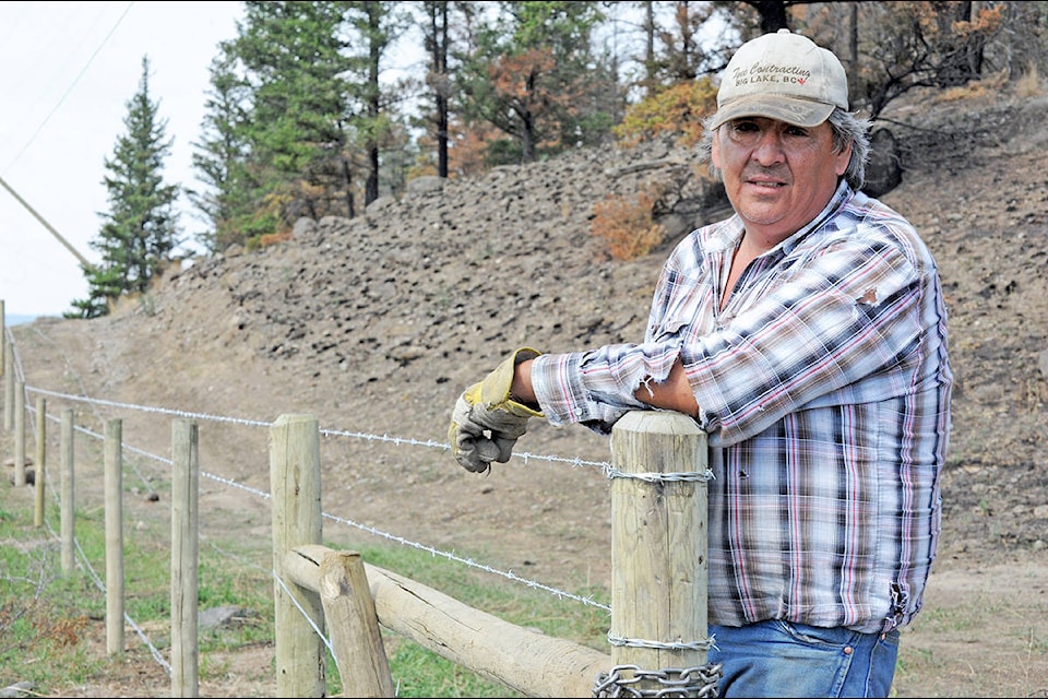 Calvin MacLeod, an employee of Tyee Lake Contracting, works to restore the fences along Highway 20 Friday. Miles of fence lines were either burned during the wildfires or cut to allow cattle to escape. Angie Mindus photo