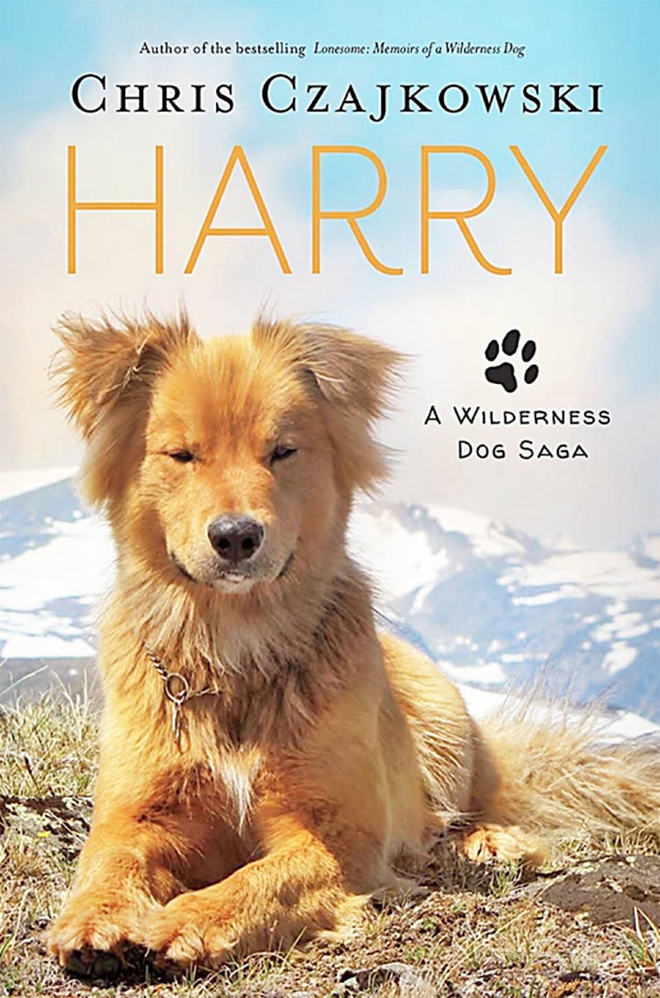 9147778_web1_Harry-book-cover