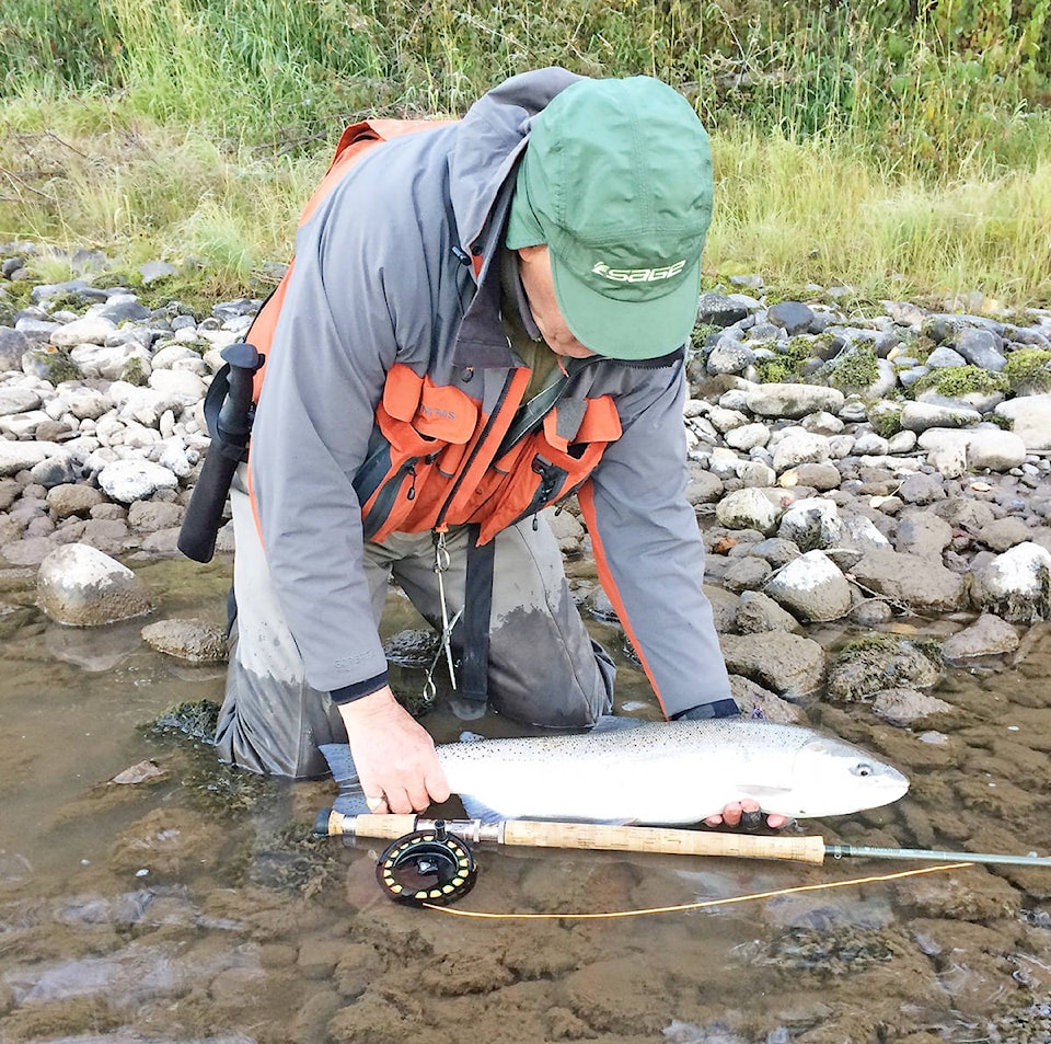 9312227_web1_171110-WLT-PoorSteelheadReturns_1