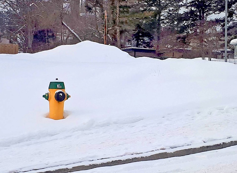 10729122_web1_180221-WLT-hydrant