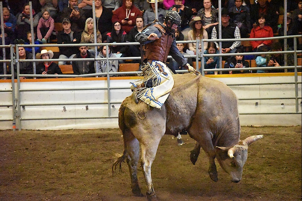Chris Meschue of Williams Lake wows the crowd on C+ Rodeos’ High Stakes during the second performance of the 28th annual Williams Lake Indoor Rodeo Saturday. Meschue didn’t make the eight seconds but the appreciative crowd gave him a great applause. Angie Mindus photo Chris Meschue of Williams Lake wows the crowd on C+ Rodeos’ High Stakes during the second performance of the 28th annual Williams Lake Indoor Rodeo Saturday. Meschue didn’t make the eight seconds but the appreciative crowd gave him a great applause. Angie Mindus photo