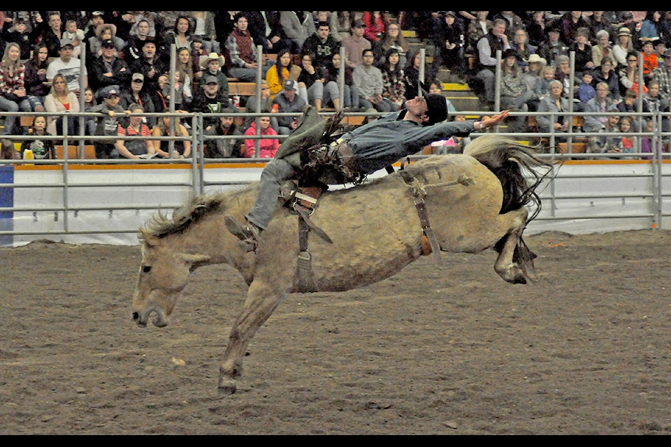 Christoph Muigg of Hazelton rides Sweet Surprise to a 75-point score Sunday at the Williams Lake Indoor Rodeo. Muigg finished in the first- and second-place spots after also scoring 78 the day prior. (Greg Sabatino photos)