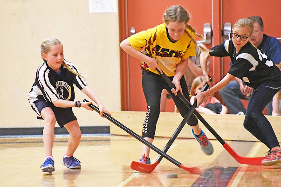 11746189_web1_180509-WLT-Floor-hockey_1