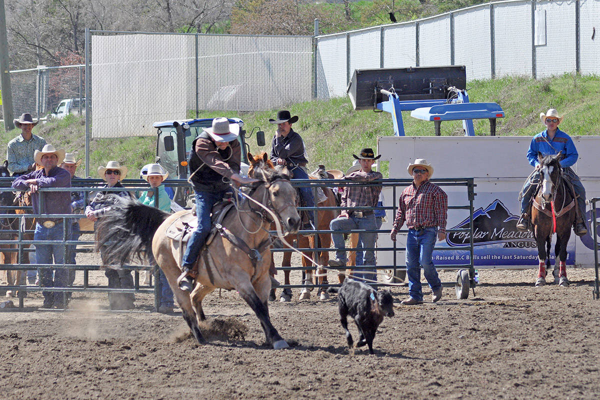 11761512_web1_180506-WLT-HSRodeoSundayDSC_8017