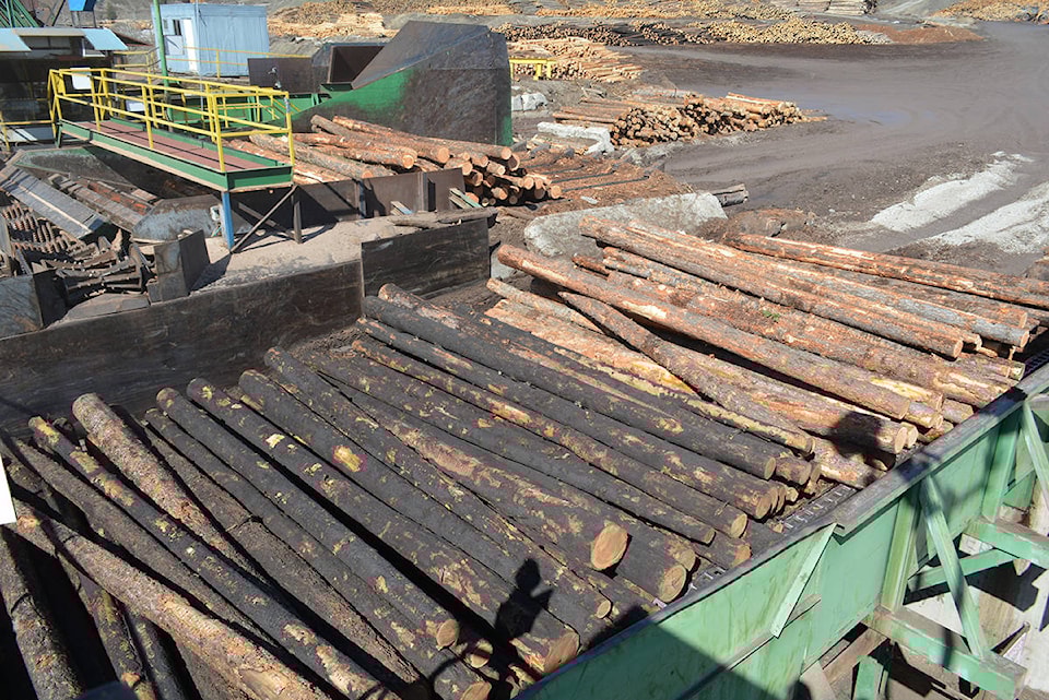 11859220_web1_180511-QCO-burned-timber_1