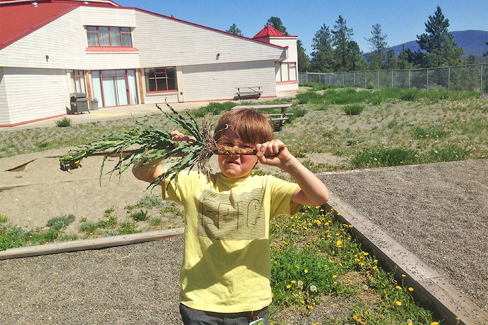 12068259_web1_180530-WLT-Tatla-weed-pull_2