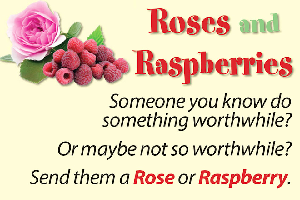 15755869_web1_rosesraspberries