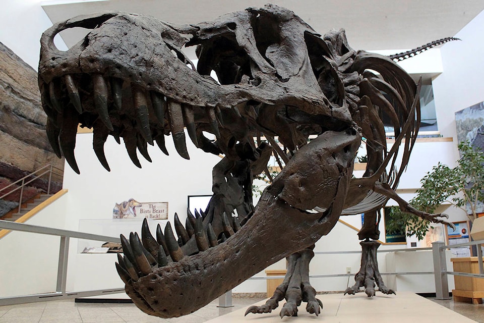 17231371_web1_TSR-dinosaur-EDH-190330