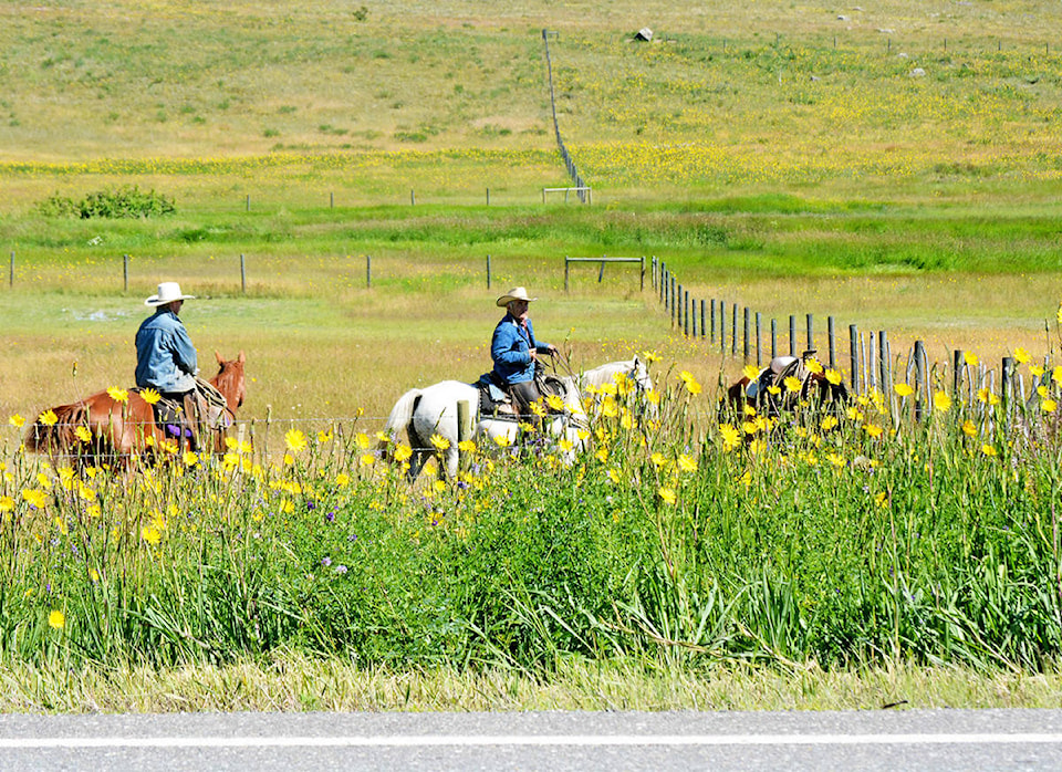 17574731_web1_copy_190705-WLT-Cowboys