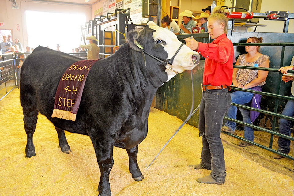 Riata Seelhof, Horsefly 4H member, won Grand Champion Steer and Top Home Grown Steer at the 61st Annual Williams Lake and District 4-H Show and Sale. Riata won Grand Champion Steer in 2018 as well.	Monica Lamb-Yorski photo