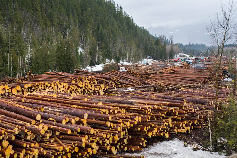 18307175_web1_logging1