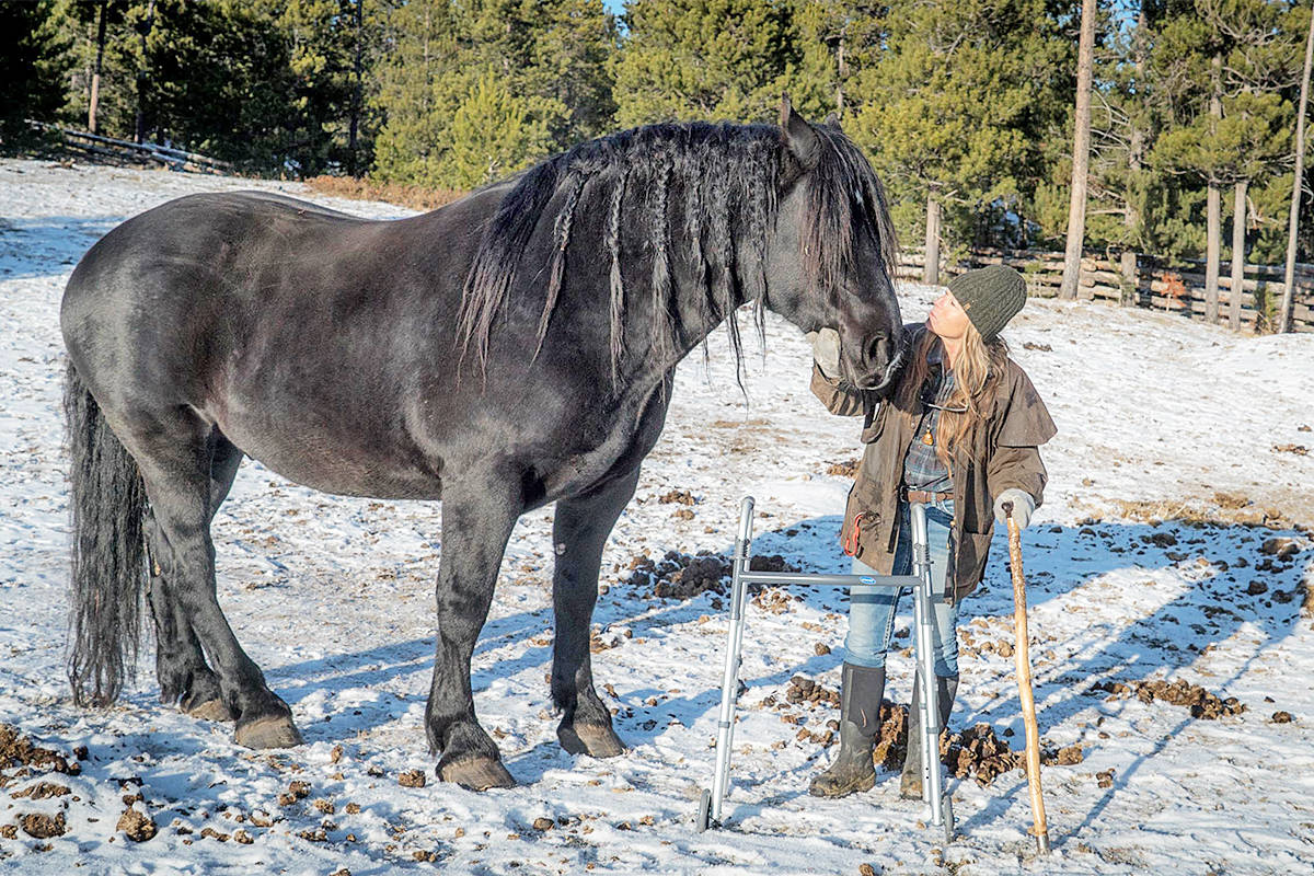 19610822_web1_191202-WLT-PatriceGordon-Horse