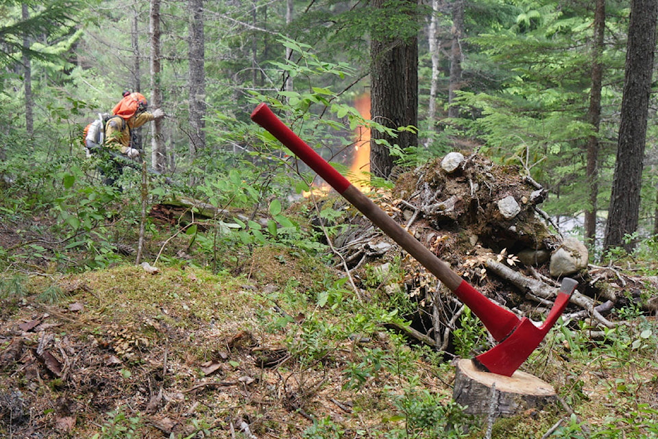 19646979_web1_190515-RTR-mt-revelstoke-fire-COVER_1