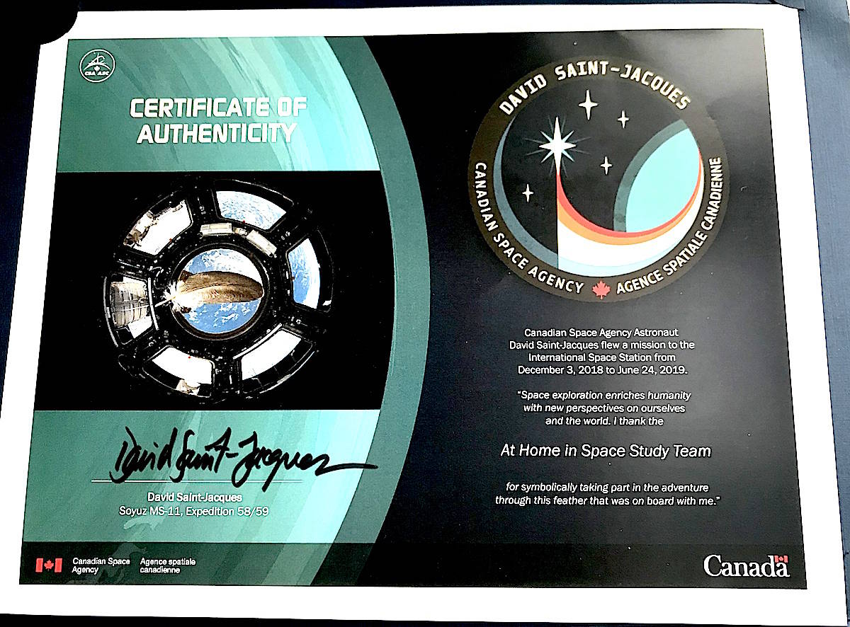19806678_web1_Eagle-feather-space-2