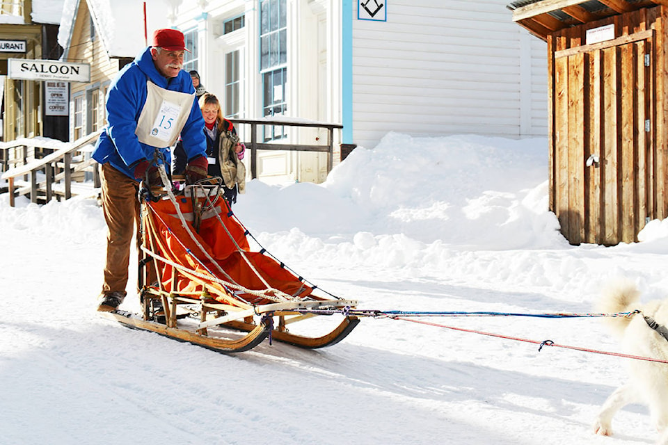 Jeff Dinsdale of Quesnel comes through Barkerville’s main street at the end of the 2019 Gold Rush Trail Sled Dog Mail Run. (Quesnel Cariboo Observer file photo)